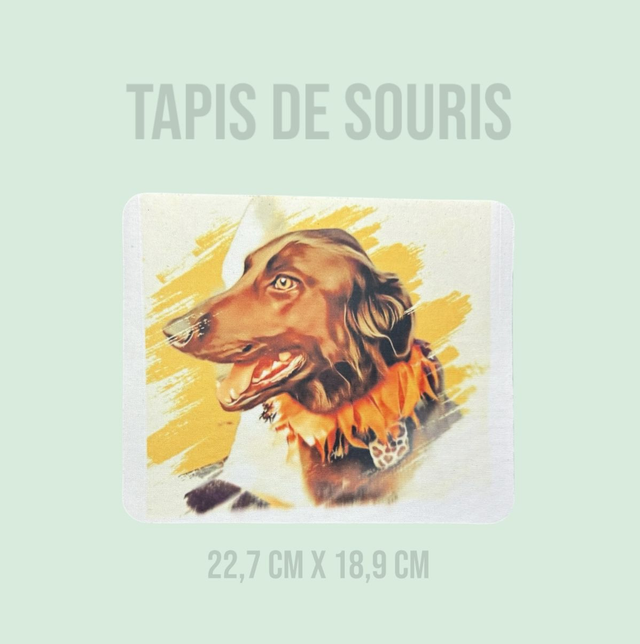 Tapis de souris 