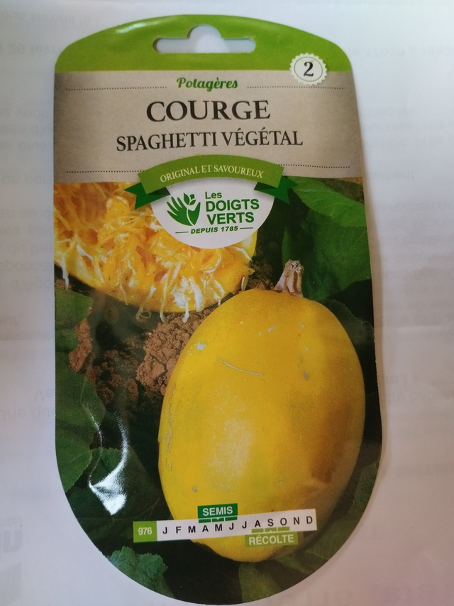 Courge Spaghetti végétal
