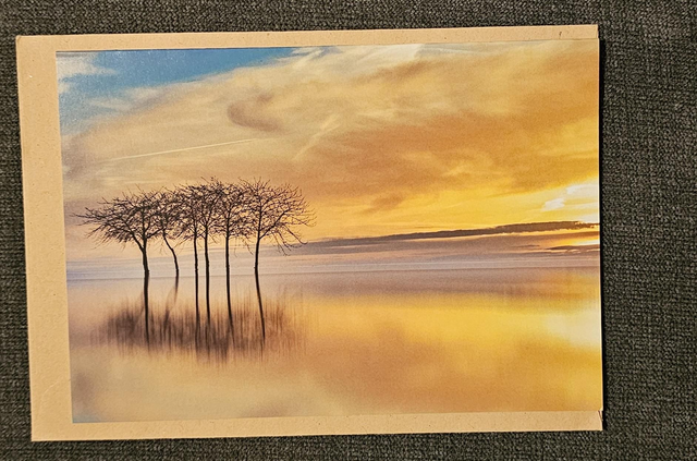 Tree &amp; Sky Scenery Card