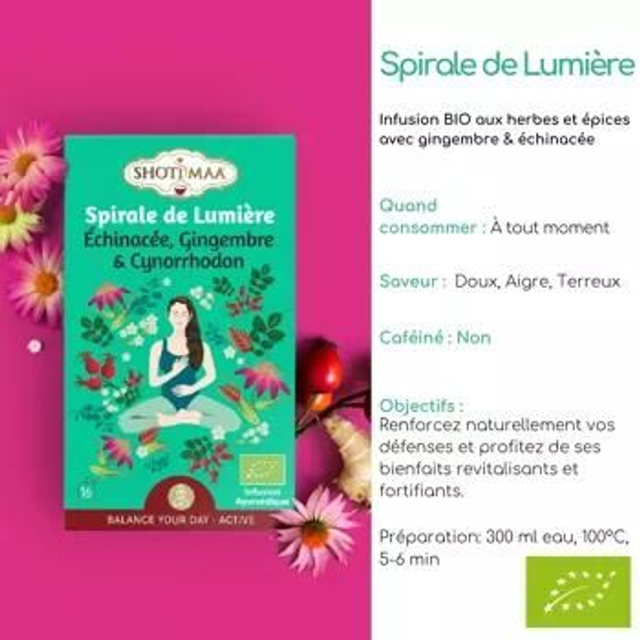 Tisane bio "Spirale de lumière" Échinacée, Gingembre, Cynorrhodon