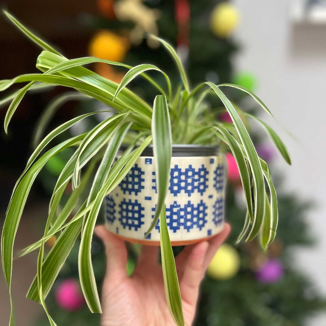 Welsh Caernarfon patterned plant pots