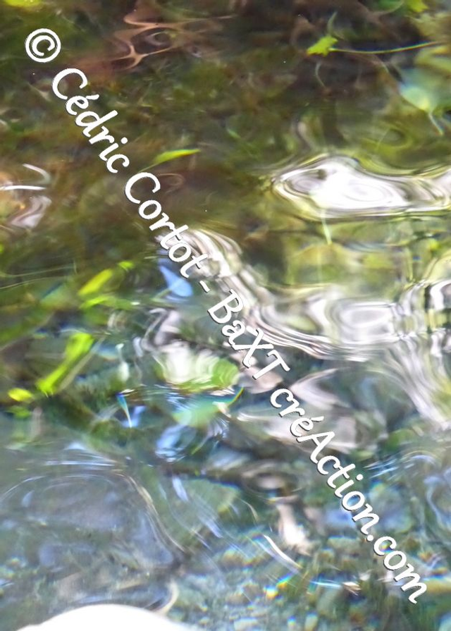 Carte postale - Reflets et cours d'Eau (Ref P1190464)