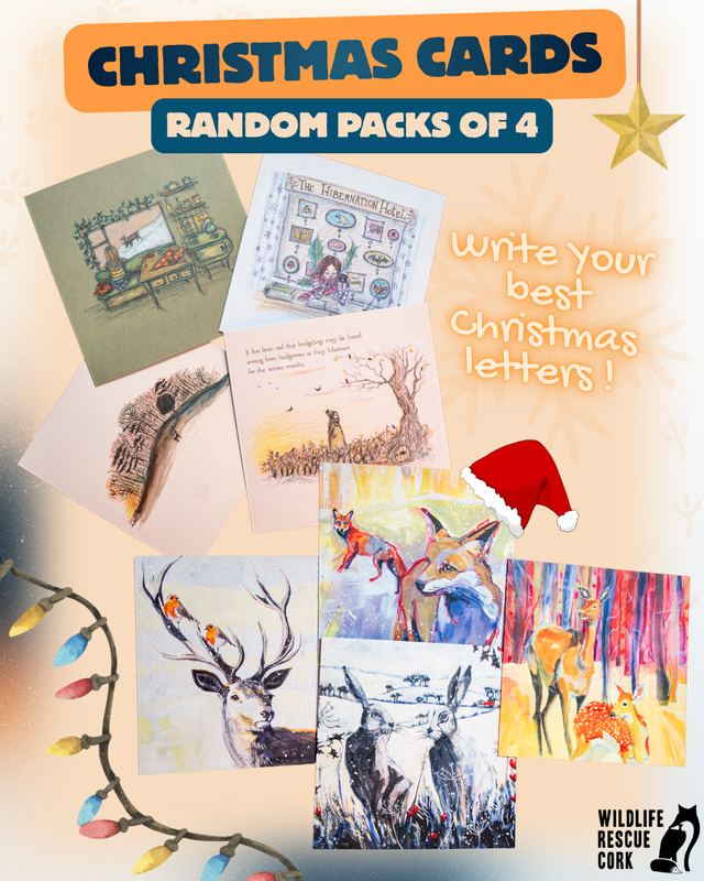 Christmas Cards Pack