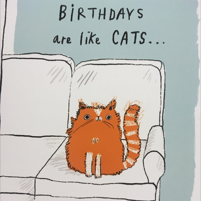 Birthday Humour Cats The Humour Factory ‘Never have too many’ GB