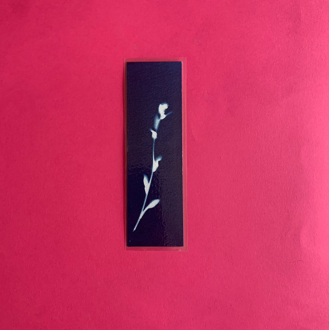 Marque page cyanotype végétal original sur papier épais et plastifié