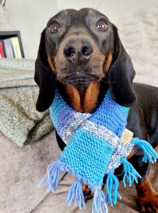 Knitted patchwork scarf