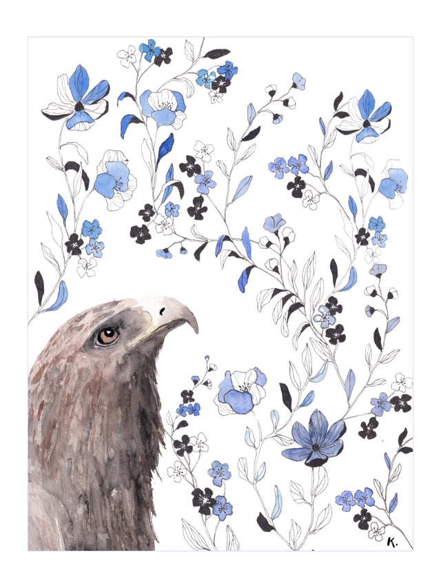 Aigle royal