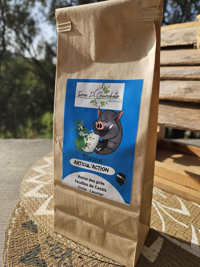 Tisane Articul'action 30g