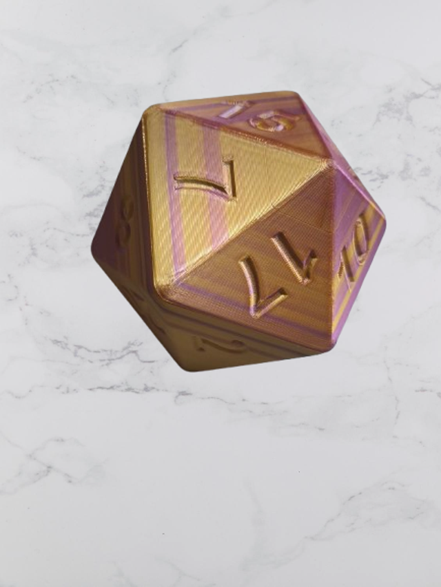 Case D20