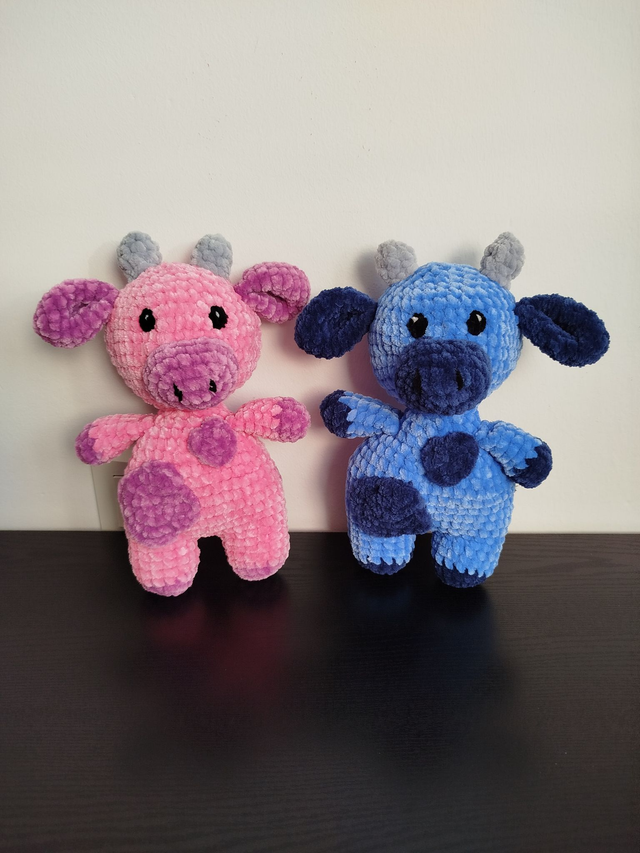 Framboise et Myrtille