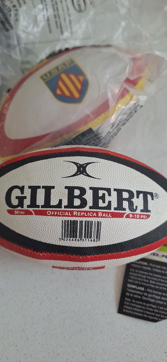 Mini Rugby Ball