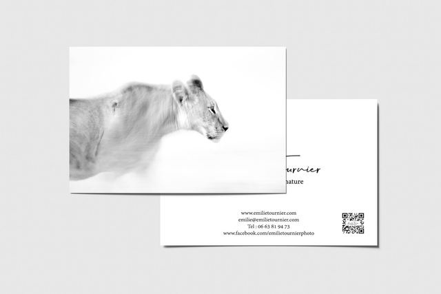 Carte postale "Fantôme du désert"