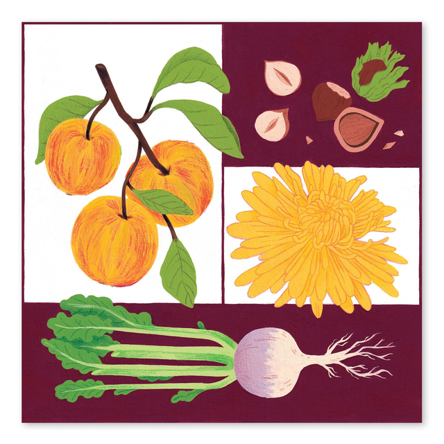 Illustrations du calendrier 2024