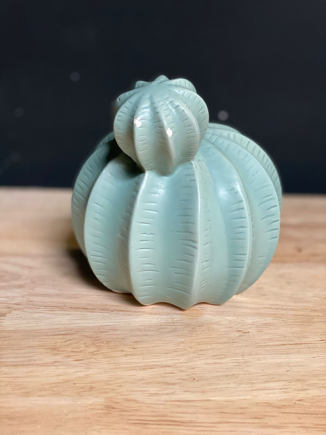 Décoration Mini Cactus (Vert)