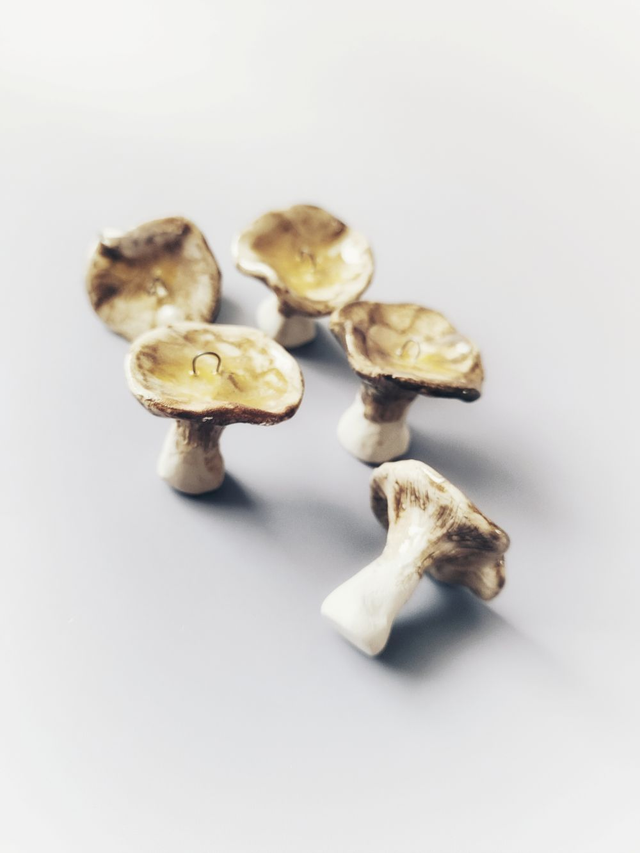 Ceramiczne grzybki brązowe