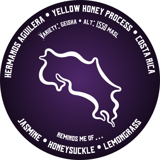 Hermanos Aguilera | Yellow Honey Process | Geisha | Costa Rica | 200g