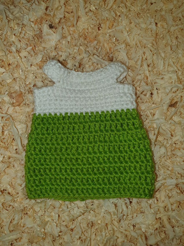 Robe pour Camille Blanche et Verte (seule)