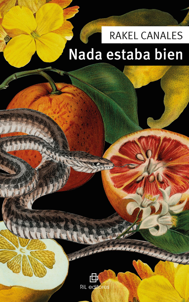 Nada estaba bien - Rakel Canales