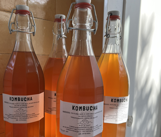 kombucha