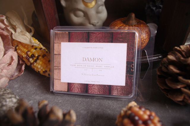 Fondant parfumé Damon — Cuir, Bois de Gaïac, Musc &amp; Vanille