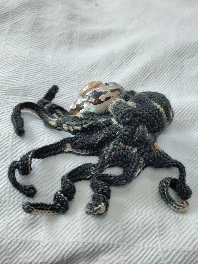 Pure Wool Octopus - Inky