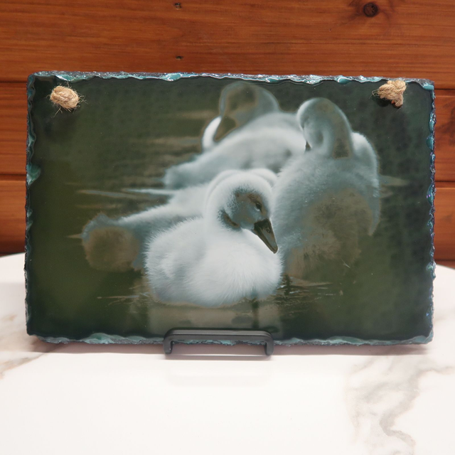 SALE! Photographic Slate