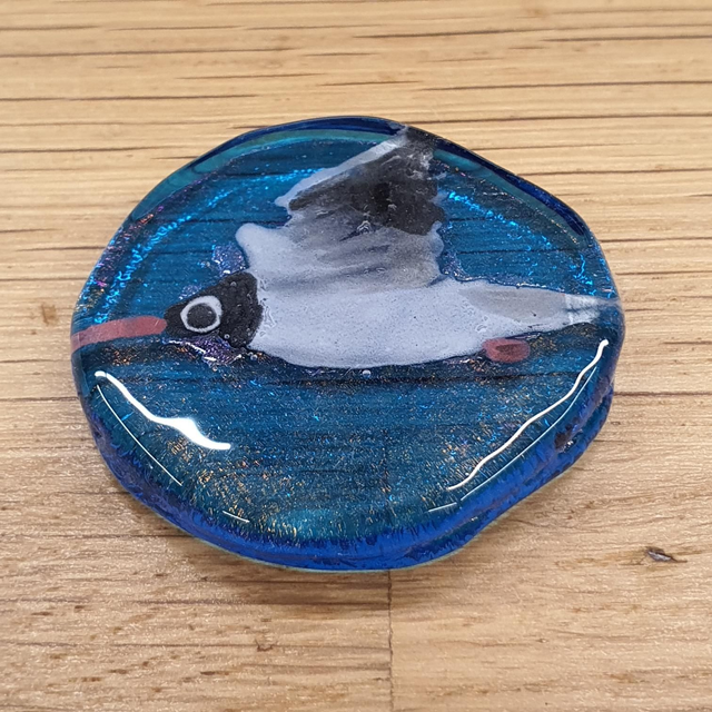 Black headed gull glass enamel badge 