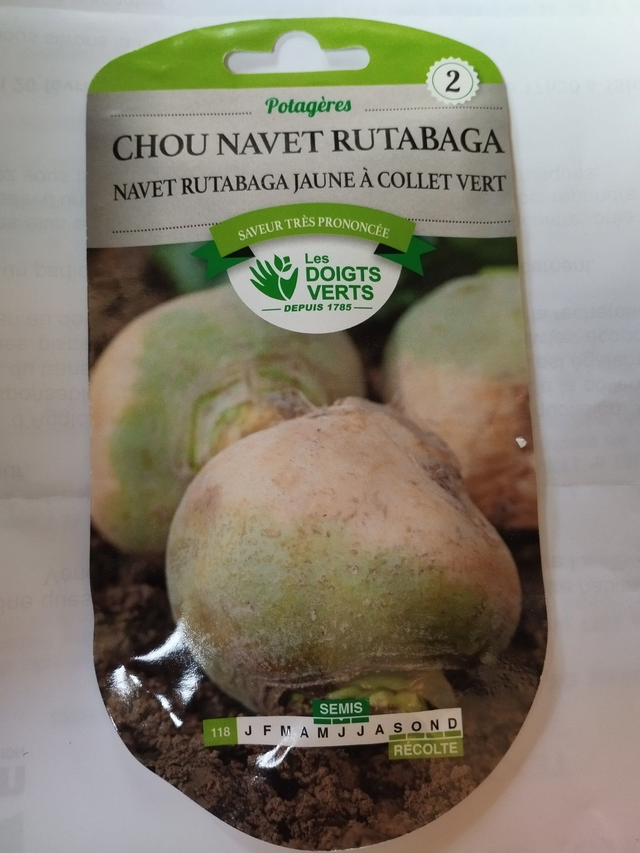 Chou-Navet Rutabaga jaune à collet vert