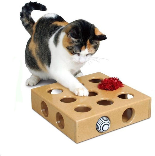 Peek &amp; Play Toy Box