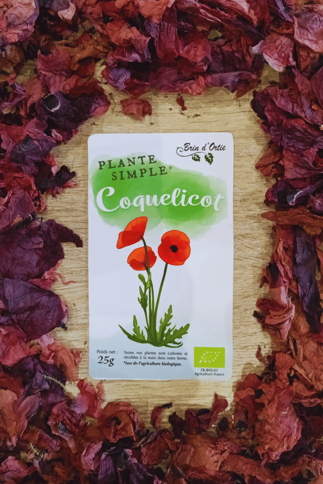 Fleur simple, Coquelicot