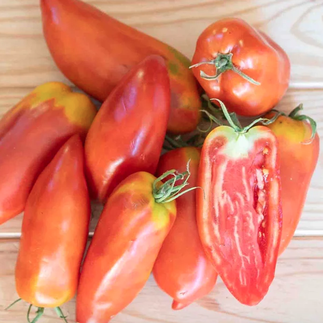 Tomate Andine cornue