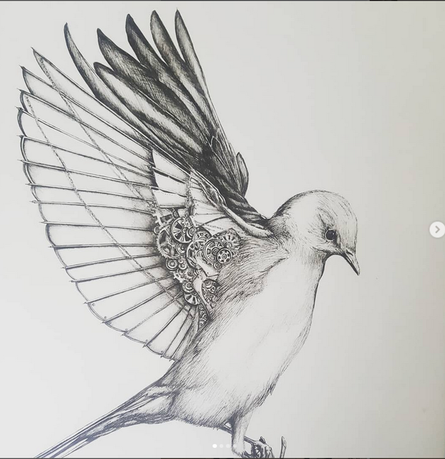 Oiseau Geai Bleu - Edition Art