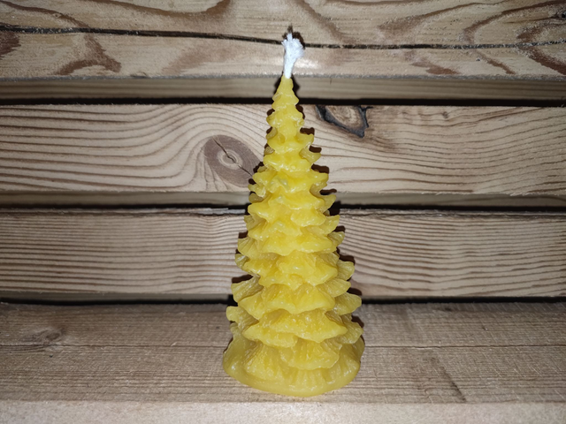 Petit sapin