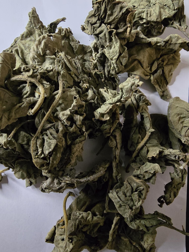 Feuilles d'Aubergine Sauvage 50g