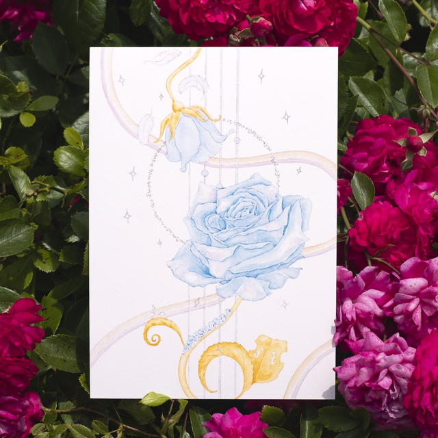 Rose Céleste A5