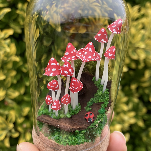 Champignons phosphorescent rouge sur écorce