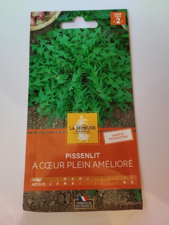 Pissenlit à cœur plein amélioré