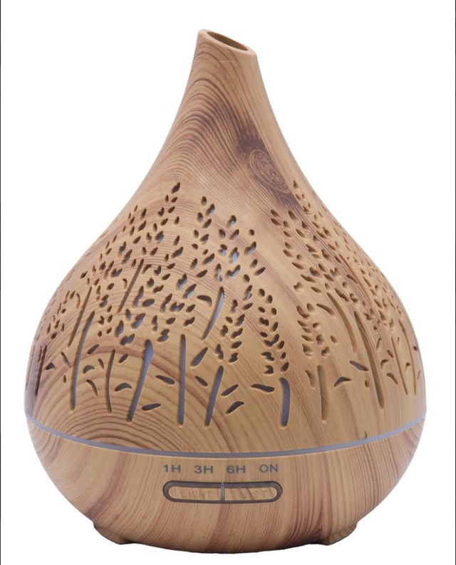 Diffuseur HE Vase Roseaux 21cm