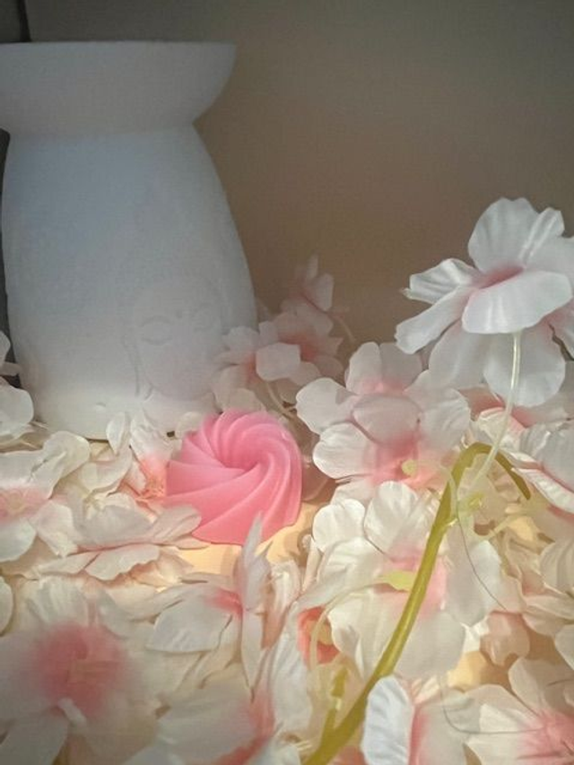 Fondant parfumé Une nuit à Paris - 18 grammes