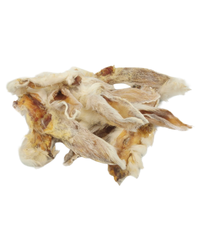 Oreille de lapin avec poils