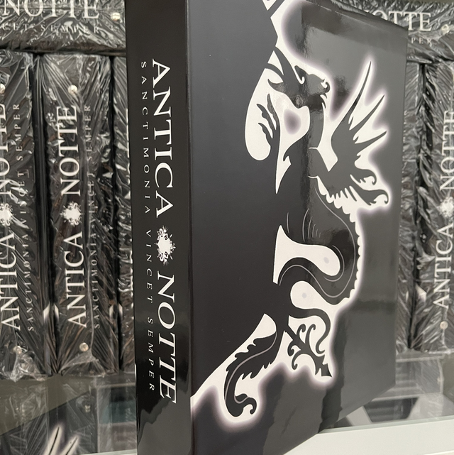 Custodia per il quaderno ad anelli 