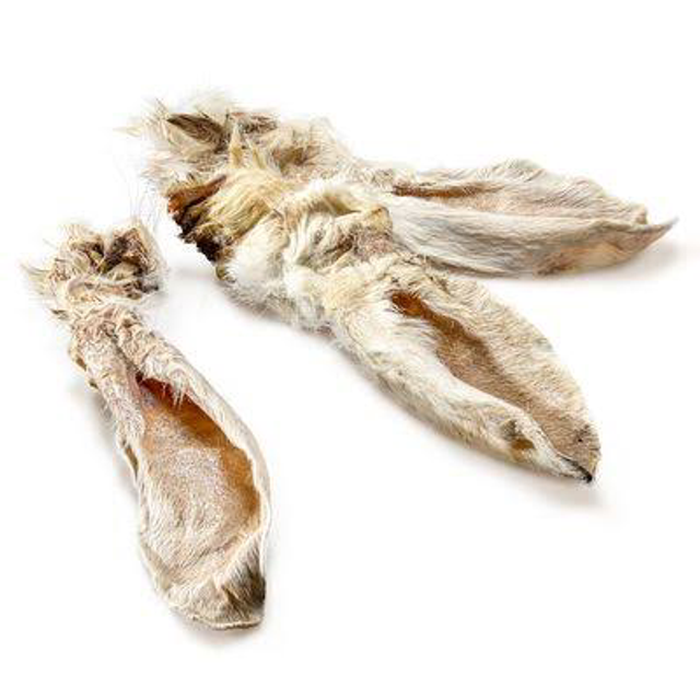 Oreille de lapin avec poils 