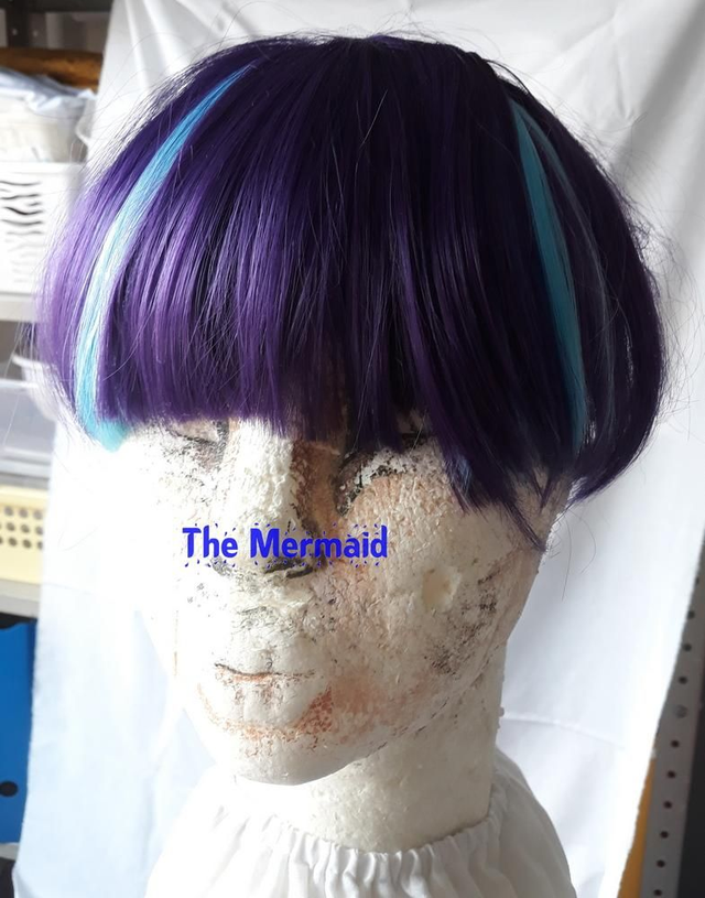 lange paars/aqua pruik in paardestaart (Starlight Glimmer)