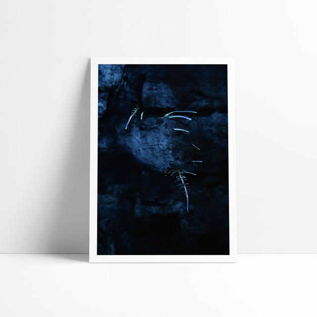 Organics - Tirage d'art