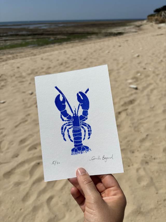 Le homard &quot;mini&quot;