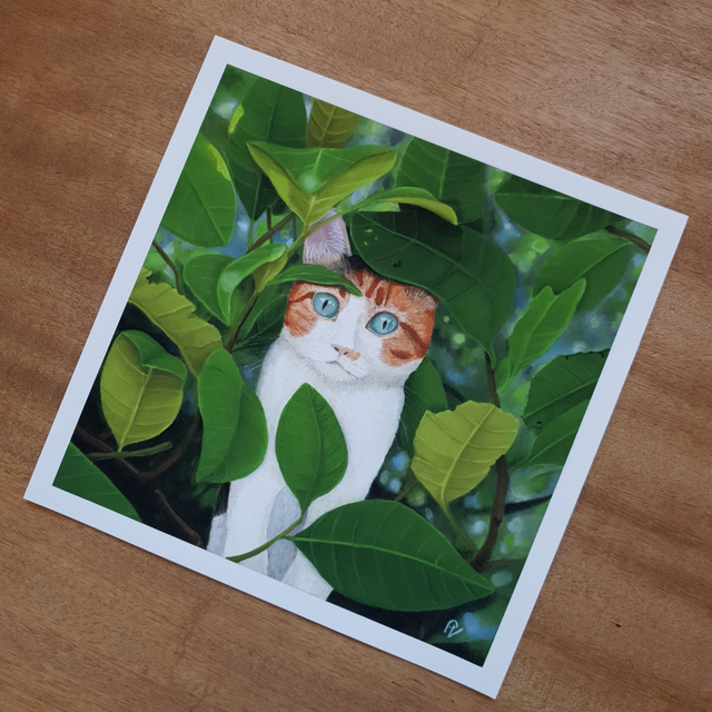 Impression "Pita"
