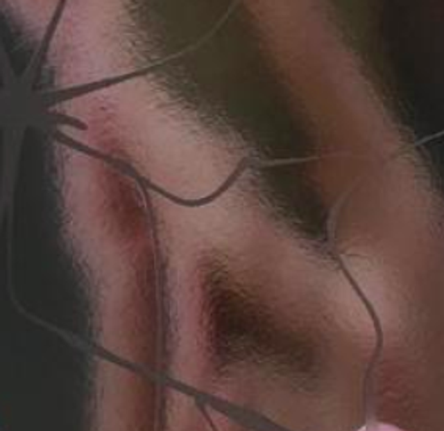 TAURUS 2022 - Chloé Royer 