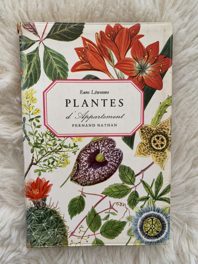 plantes dappartement (House Plants) by Fernand Nathan (French)