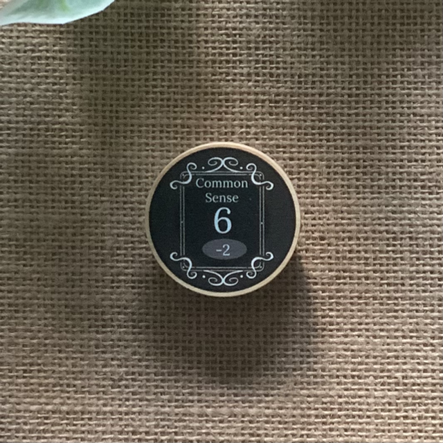 Wooden Pin Badge - Common Sense 6