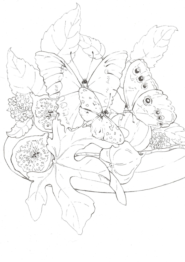 Trópusi pillangók, Füvészkert